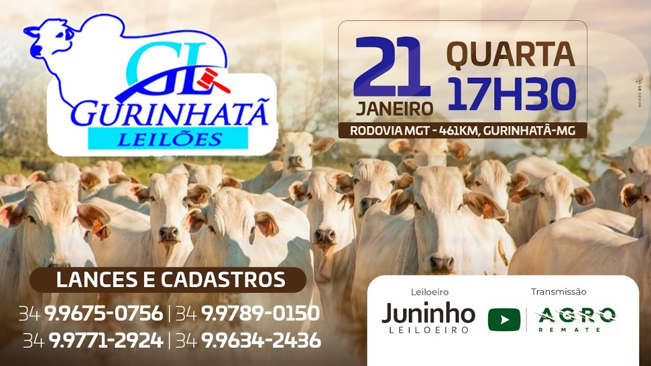 LEILÃO DE CORTE - GURINHATÃ LEILÕES 21/01/2026 - AGROREMATE