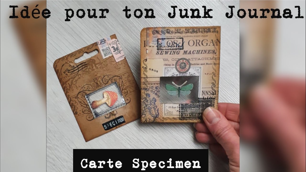 Idée pour ton Junk Journal *8* Carte Specimen