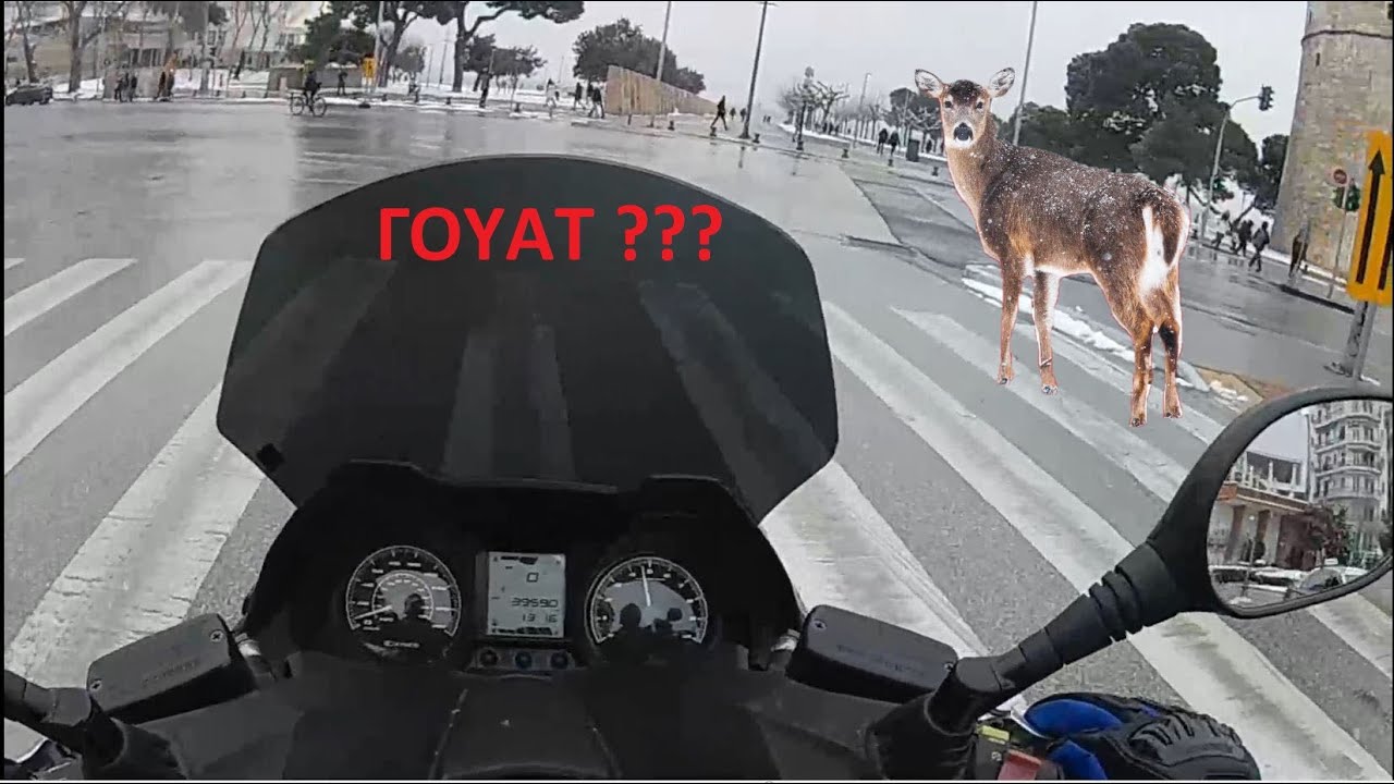 Η ΤΡΕΛΑ ΔΕ ΠΑΕΙ ΣΤΑ ΒΟΥΝΑ!  ▔▔ Motovlog #01 ▔▔