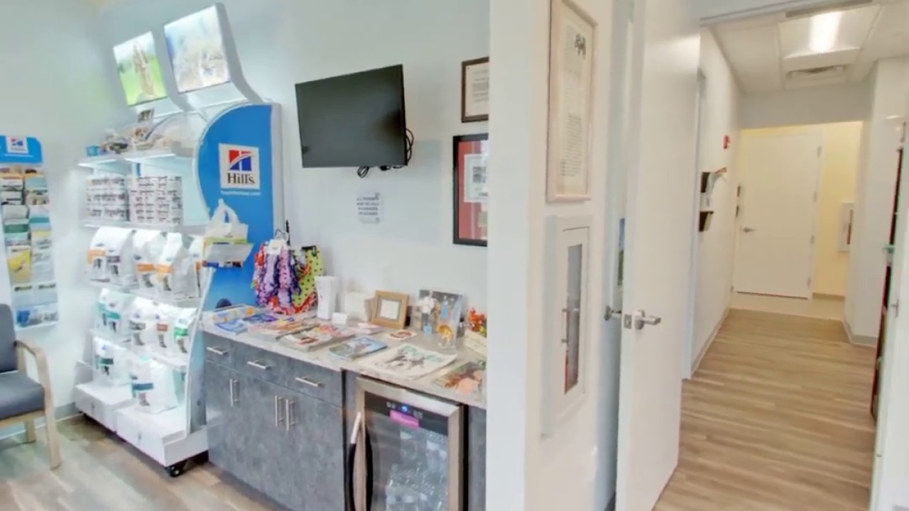 Animal Hospital At The Marketplace | Wellington, FL | Veterinarians