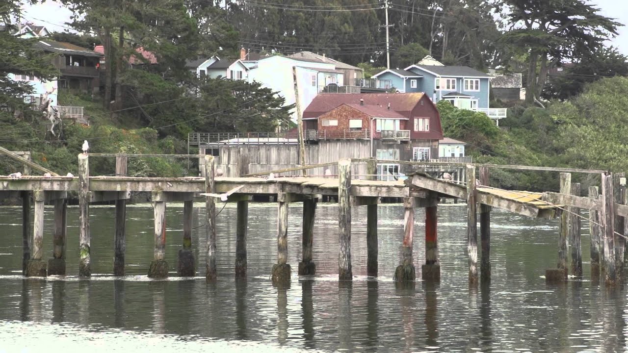 Bodega Bay, California