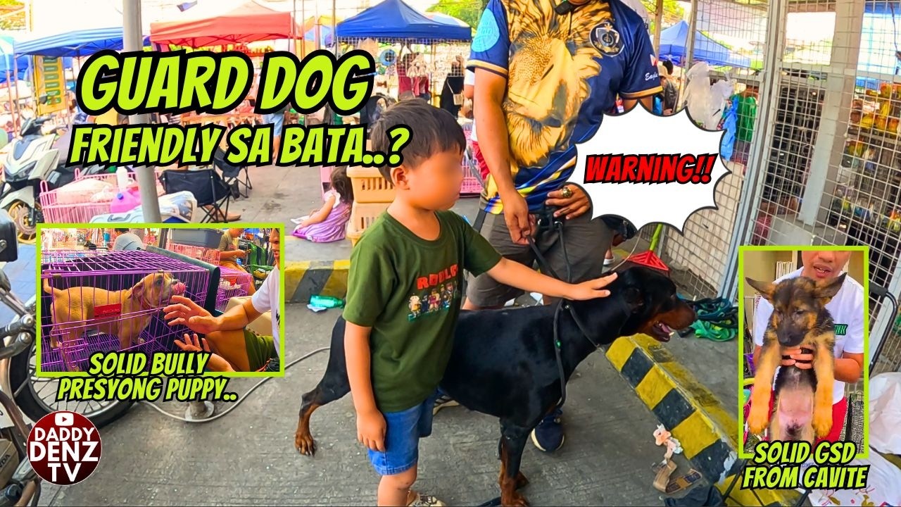 NAKAKATAKOT NA BANTAY PERO MABAIT.. / pt.2 @GROTTO PETS & LIVESTOCK MARKET