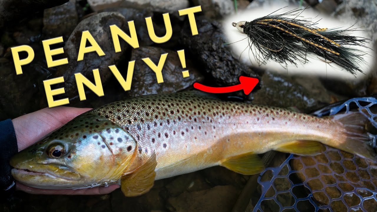 LATE MAY STREAMERS! Streamer Fishing for Big Wild Brown Trout