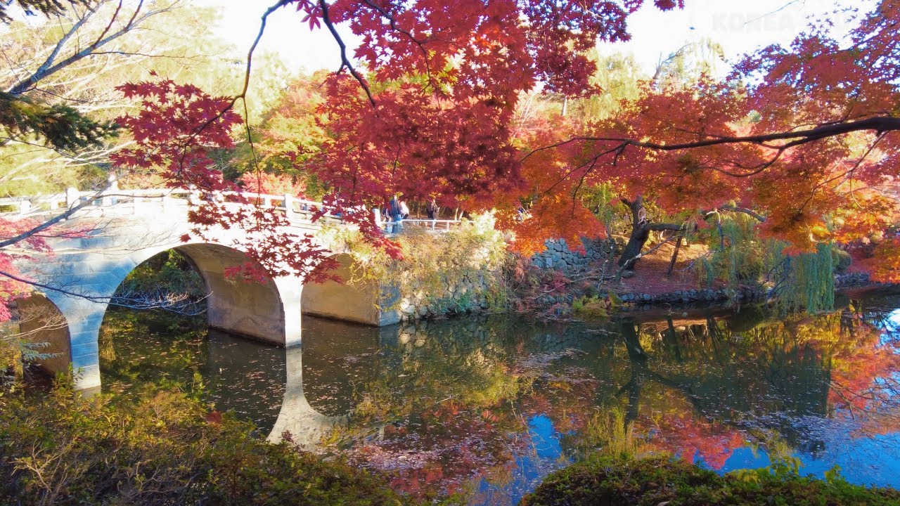 Gyeongju, Korea | Bulguksa Autumn Colors