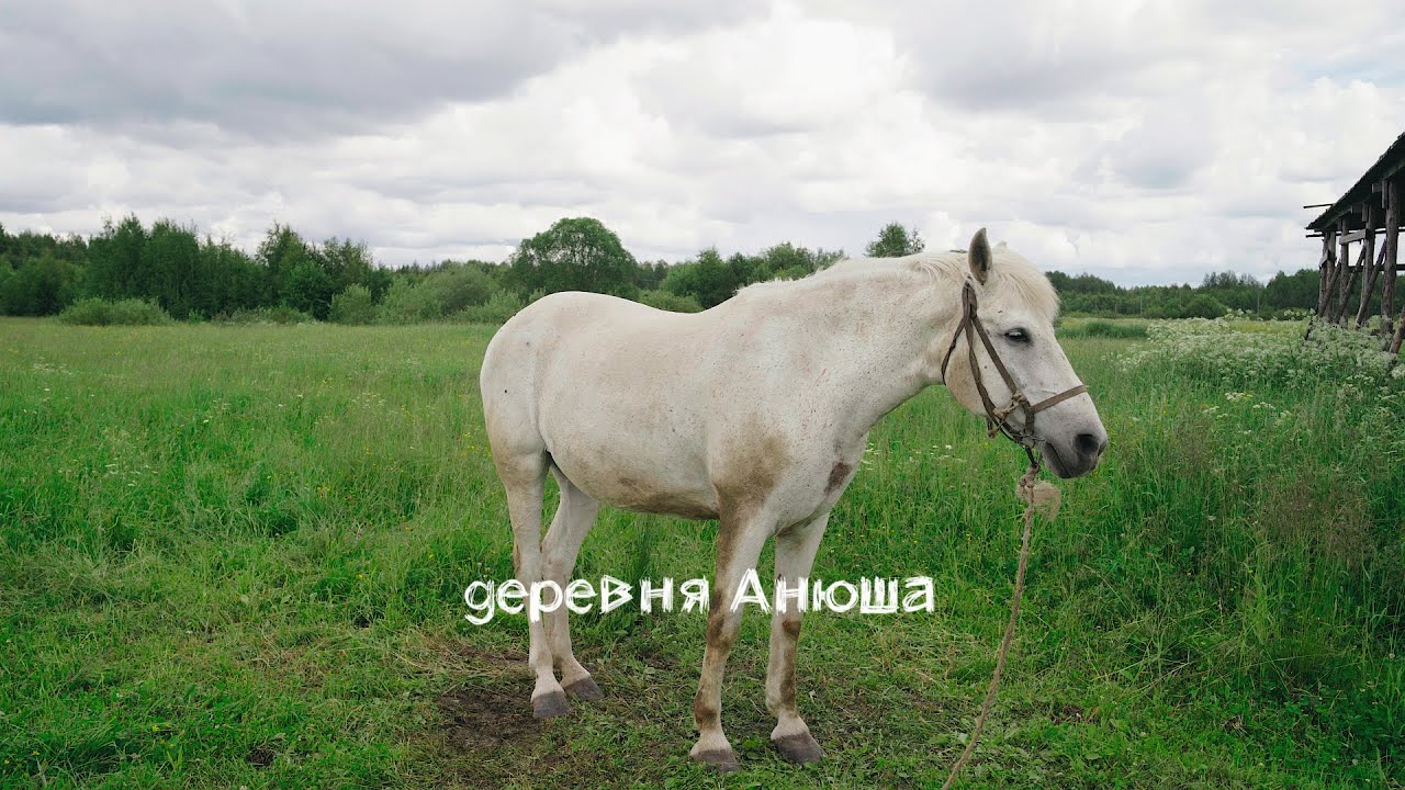 Республика Коми.Деревня Анюша.Юбилей 235 лет.