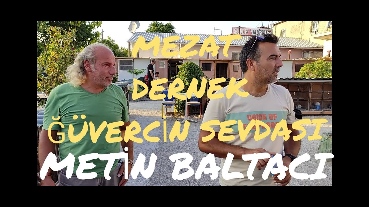ANKARANIN STARI BÜYÜK KUŞLAR UÇURMUŞ Metin BALTACI Kümes ziyareti.