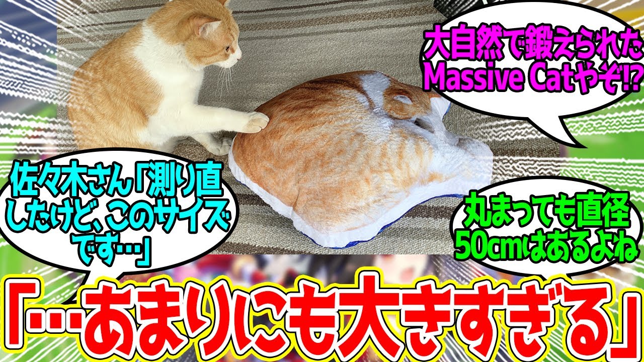 【悲報】KADOKAWA、メトキャッツのデカさを舐めていた…に対するみんなの反応！【競馬 の反応集】