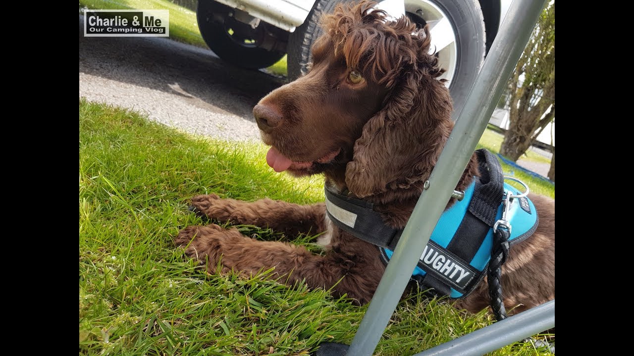 Charlie & Me take a look around The Hub & Brandon Hill Co. Kilkenny