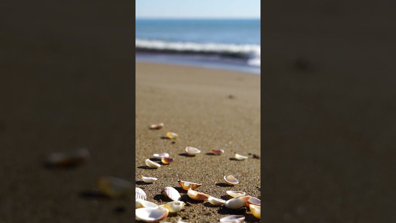 Quick Calm: Calming Ocean Waves 