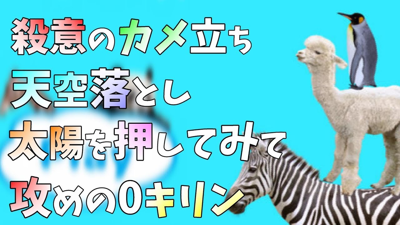 どうぶつタワーバトル専門用語 解 説 実 況