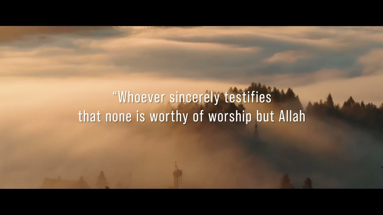 Faith in Allah (swt) - What Is Islam?
