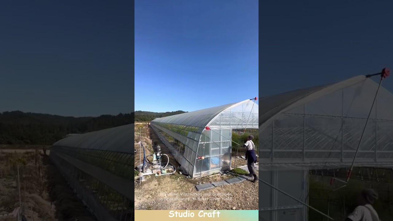 Installing Ventilation and Sunshade in Greenhouses to Boost Crop Yield!  