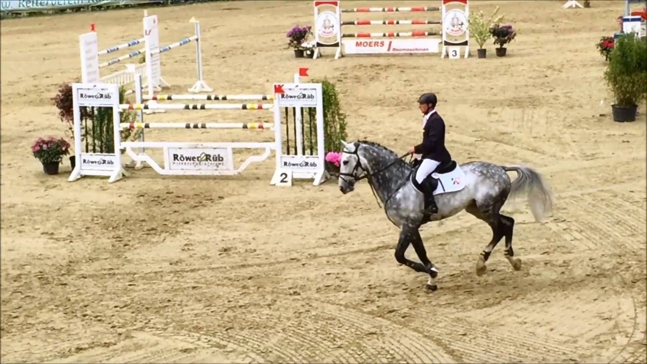 CAPISTRANO im S**-Springen mit Siegerrunde in Kalthof 2016