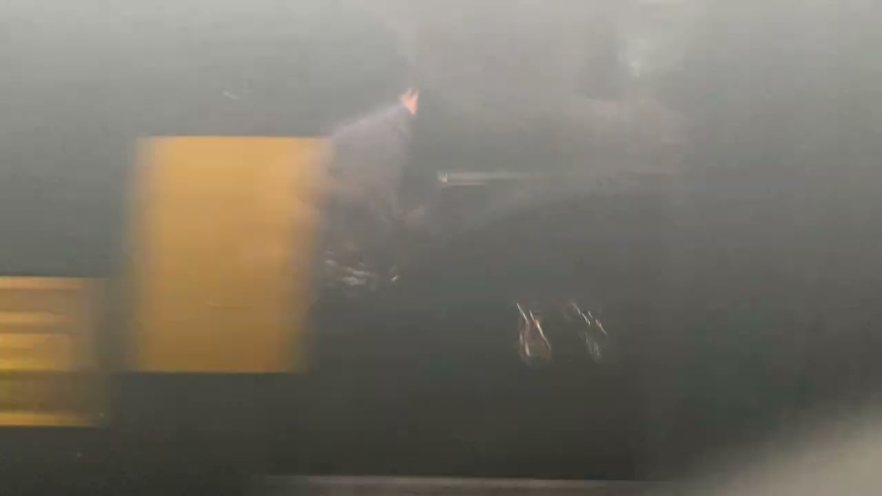 Amtrak Carl Sandburg #382 full ride (Galesburg-Chicago Union Station)