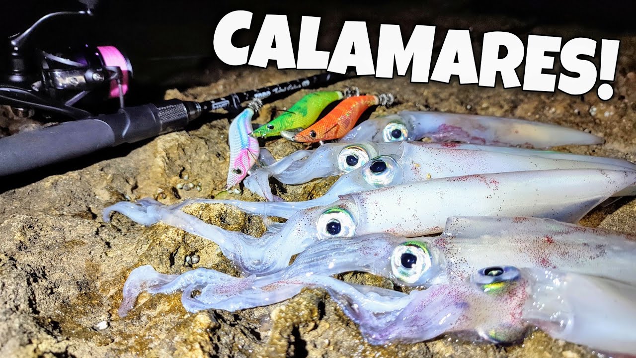 EGING y SPINNING con MUCHAS CAPTURAS ⚠️ ¡CON ESTO SACARÁS MÁS CALAMARES! ⚠️