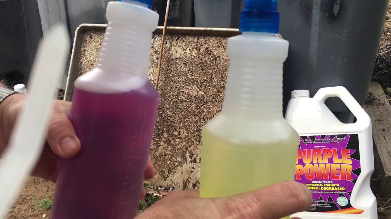 LA’s Totally Awesome vs Purple Power