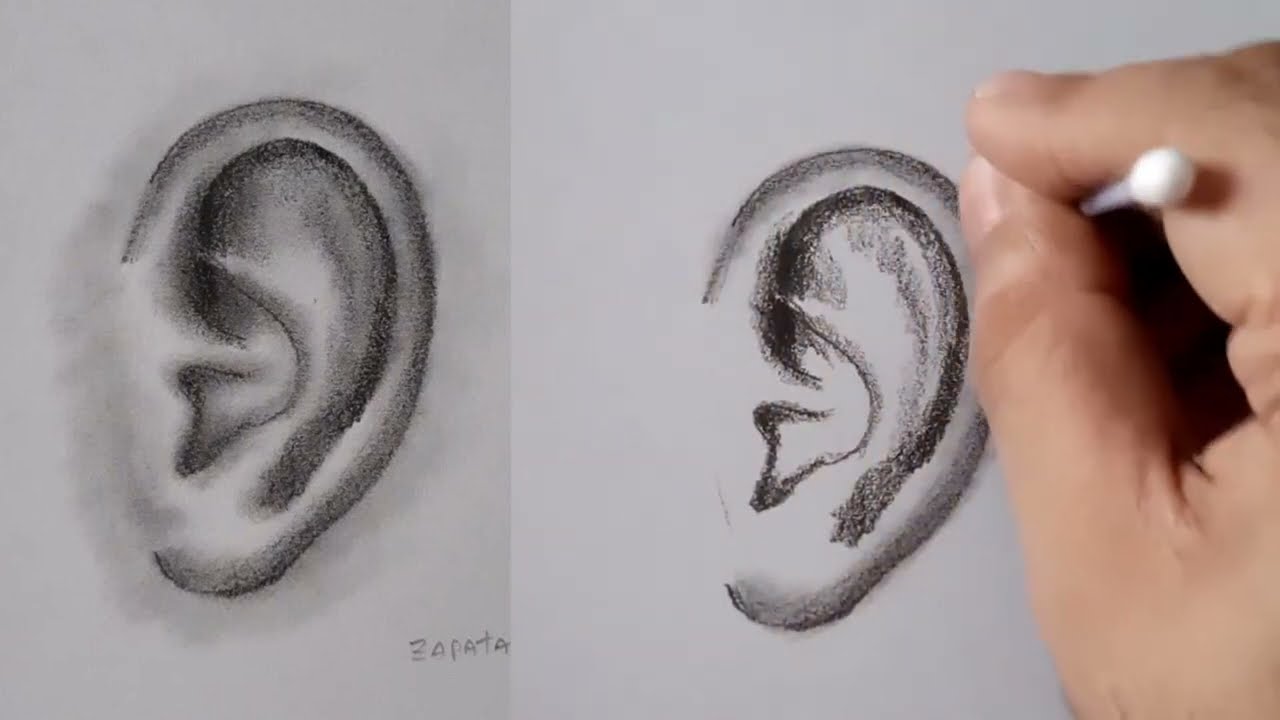 Comment dessiner une OREILLE RÉALISTE