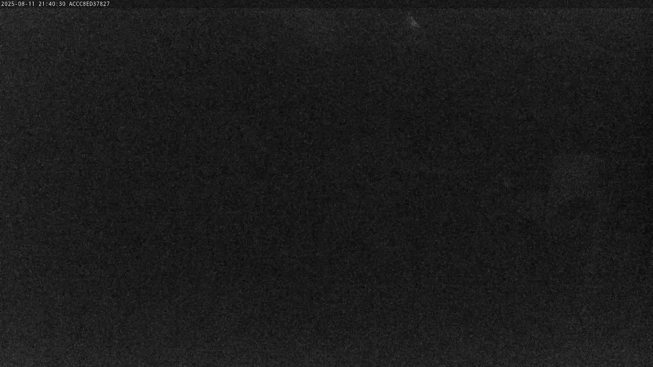 Cat Inn hotel pro kočky