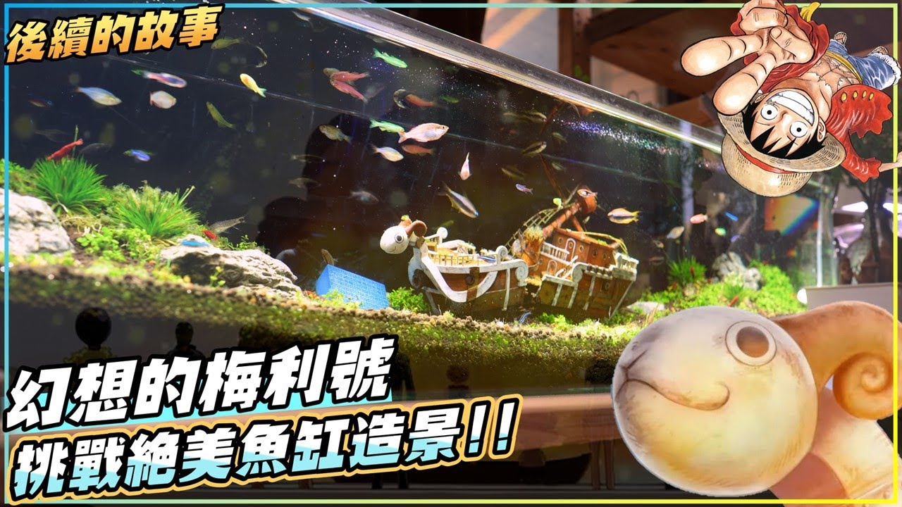 挑戰絕美魚缸造景  幻想的梅利號 🔥 海賊王後續的故事💪 ONE PIECE Going Merry Custom Painting for aquascaping