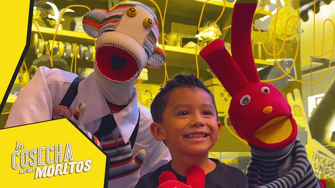 ¡Museo 31 minutos en Monterrey!