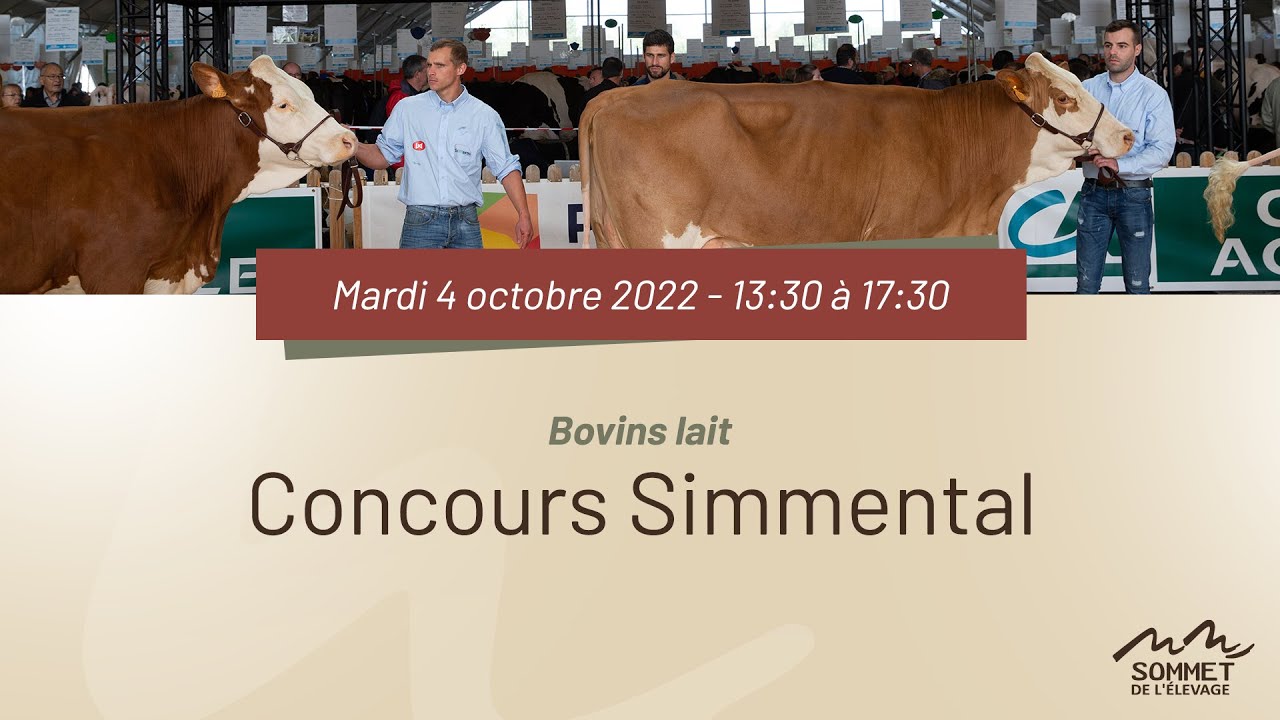 Sommet de l'élevage 2022 - Concours SIMMENTAL - 04/10/2022