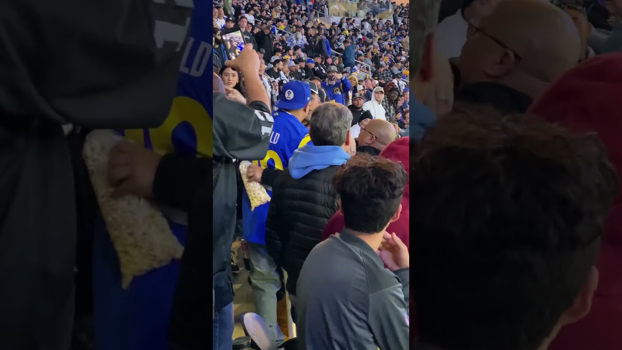 Where's Security?! This Rams vs. Raiders Fan Fight Almost Got Out of Hand! #shorts #larams #raiders