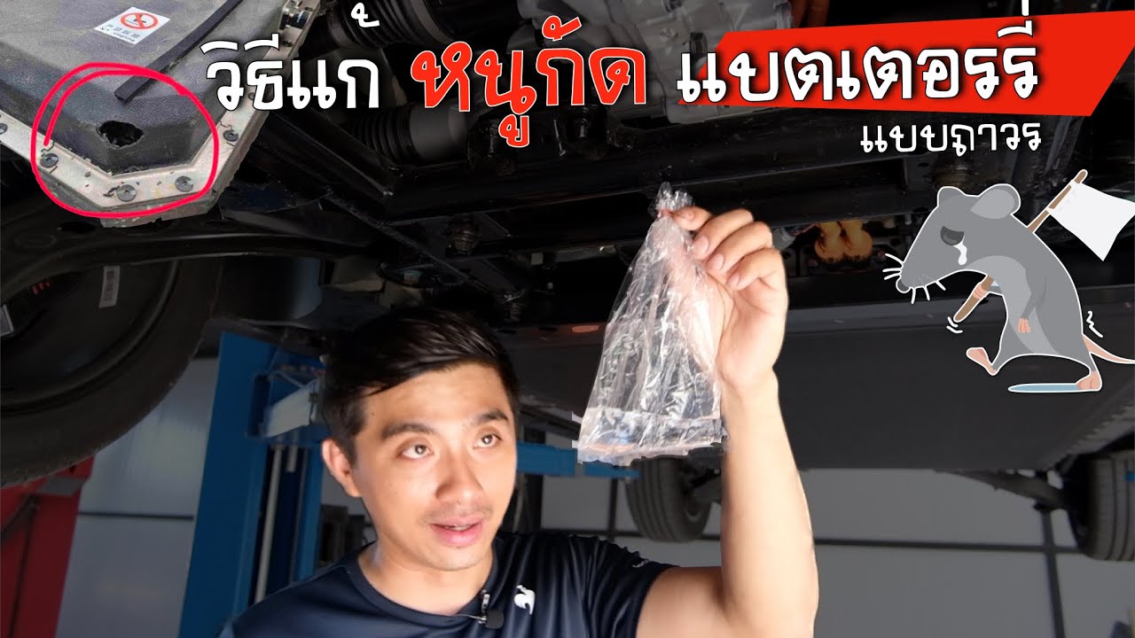 วิธีป้องกัน หนูกัดแบตเตอรรี่ รถไฟฟ้า BYD Atto3 และ Dolphin