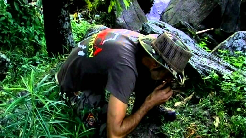 Strain Hunters Malawi Portuguese Subtitles