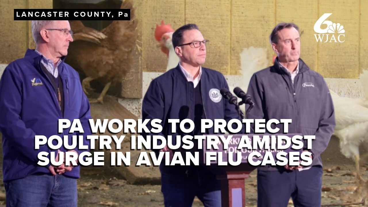 Pennsylvania officials discuss plans to combat rise in Avian flu cases