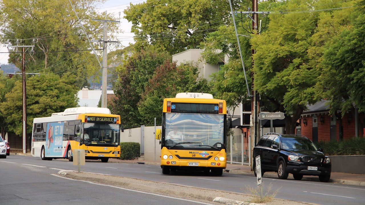 282 - MAN 18.280 HOCL-NL, ABM &lsquo;CB64A&rsquo; (Loud ZF Hubs) - Torrens Transit (Adelaide Metro)