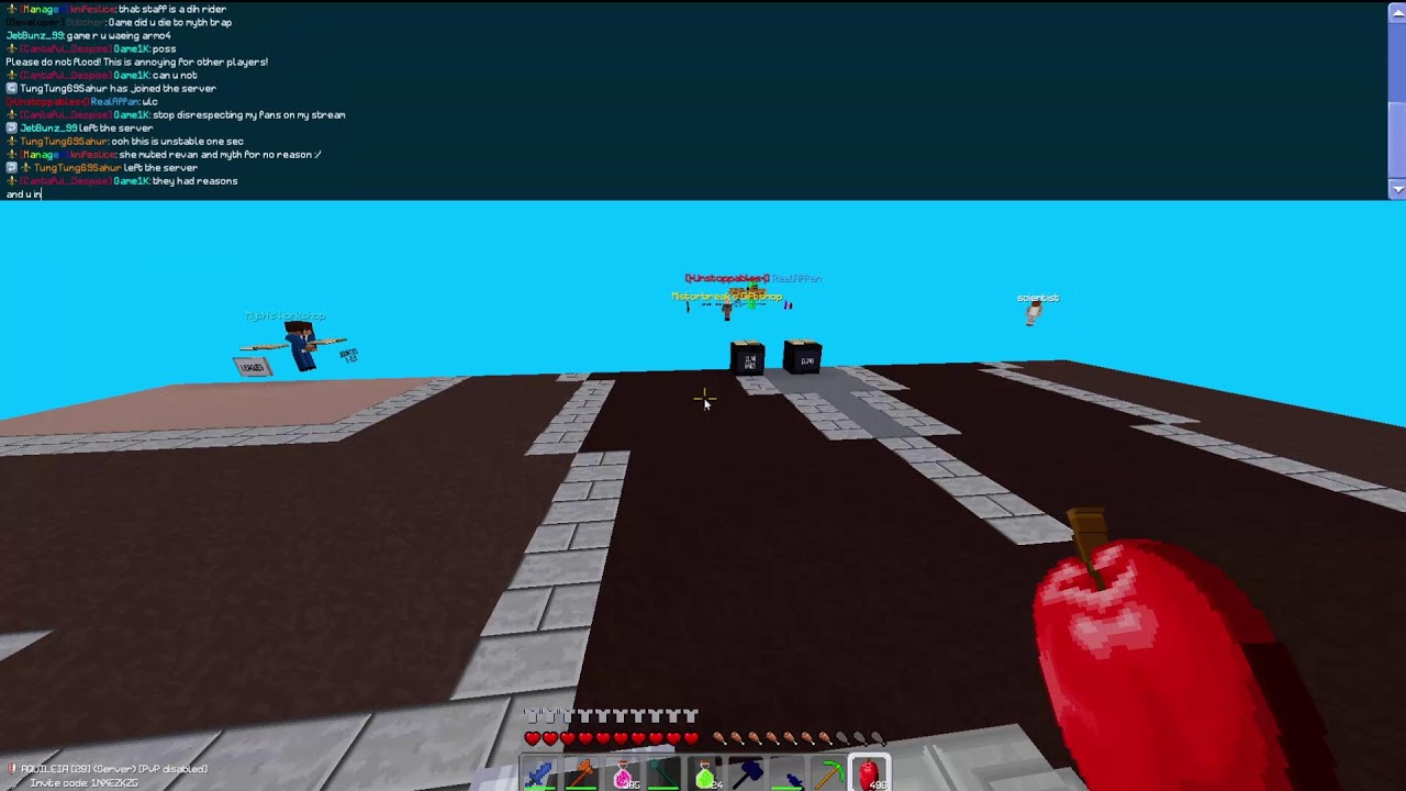 playing on servers