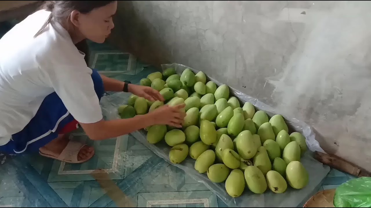 This is how i used our fresh mango harvest this year.