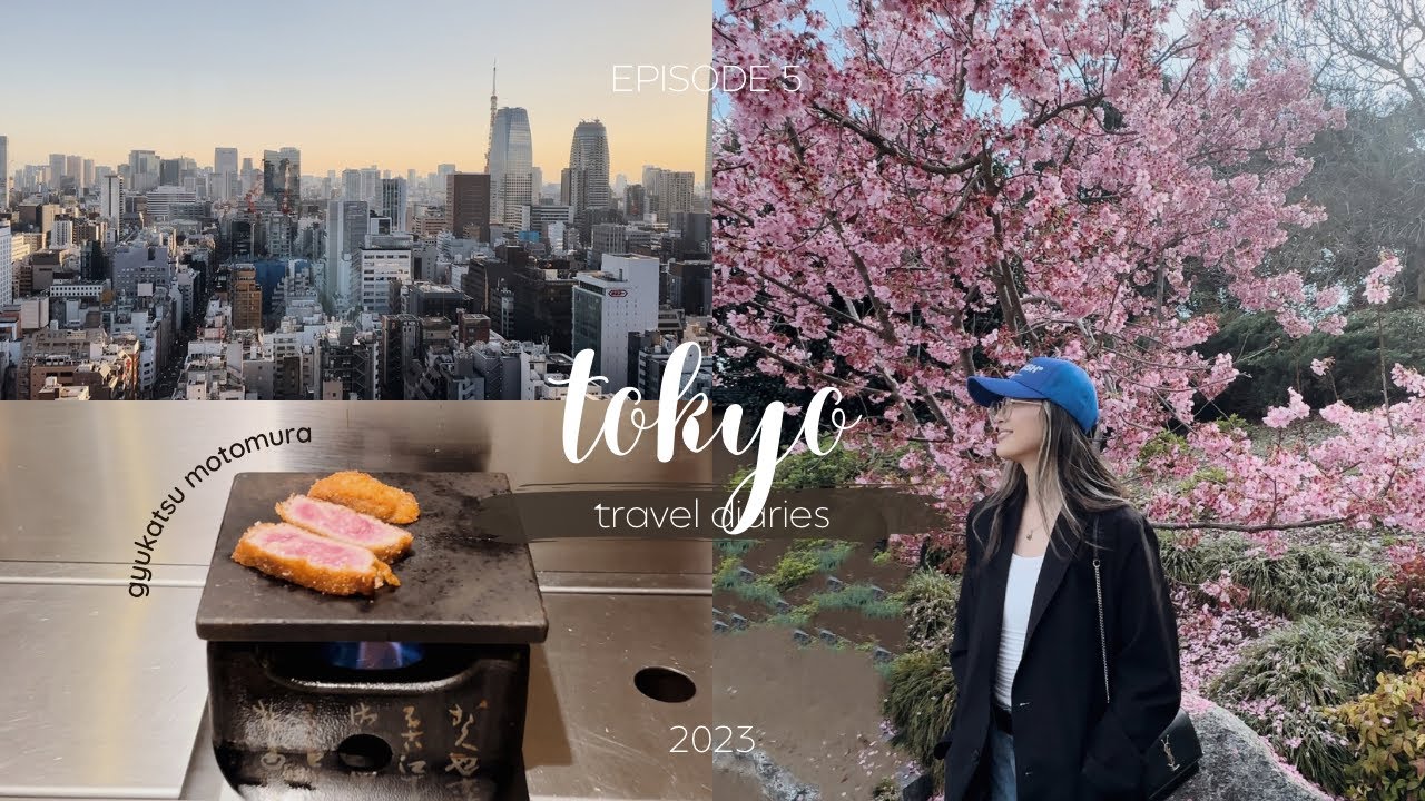 tokyo 🇯🇵 | ep. 5 - ginza shopping, cherry blossom, harajuku, akihabara, shibuya crossing, gyukatsu