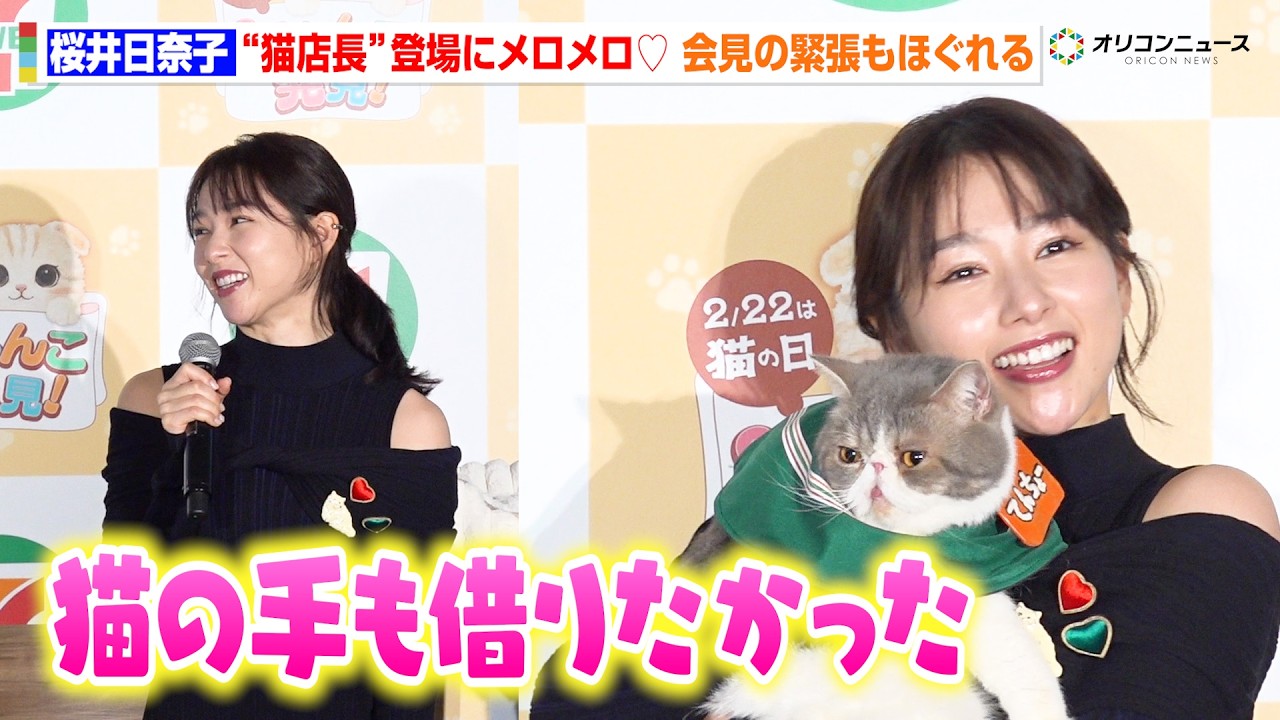 桜井日奈子、猫愛が炸裂！？“猫店長”にメロメロで会見の緊張もほぐれる　セブン‐イレブン『にゃんこ発見！』新商品発表会・試食会