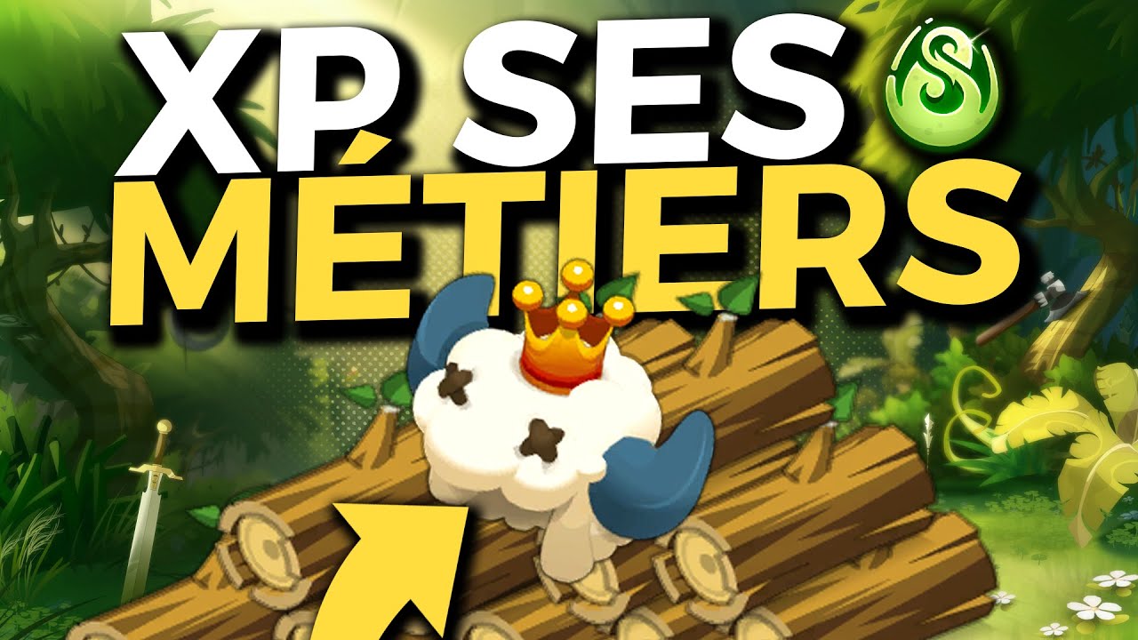 XP SES MÉTIERS SUR DOFUS (Récolte, Crafts, Fm)