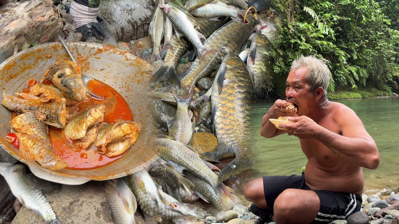 River Fishing Catch and Cook | Jungle Survival Cooking & Mukbang