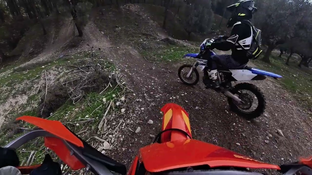 יער ביריה יום שישי 26.12.2025 3