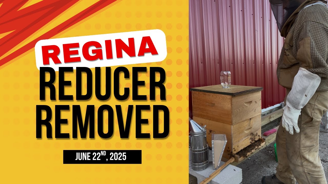 Reducer Removed