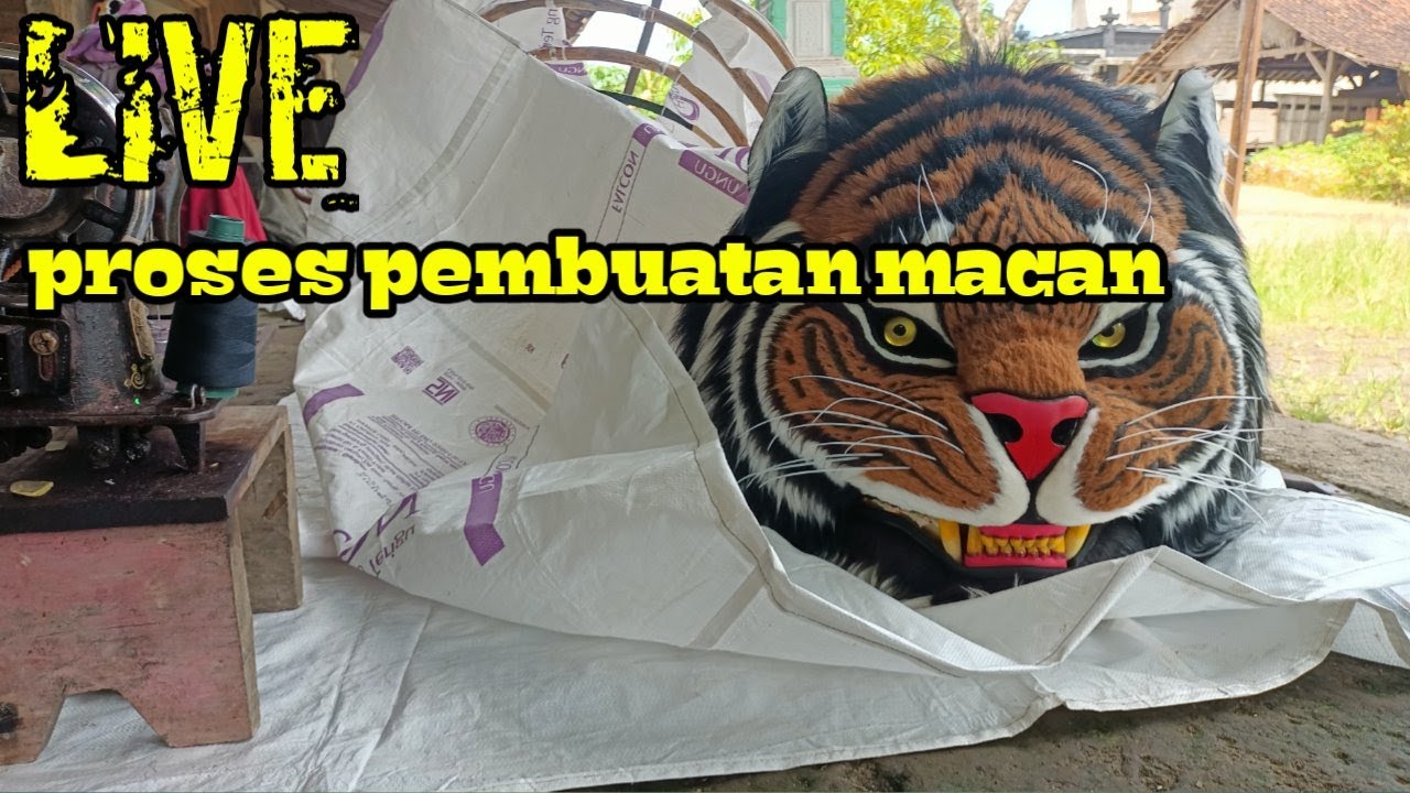 LIVE🇮🇩PROSES PEMBUATAN MACAN, versi mas KHOWOR