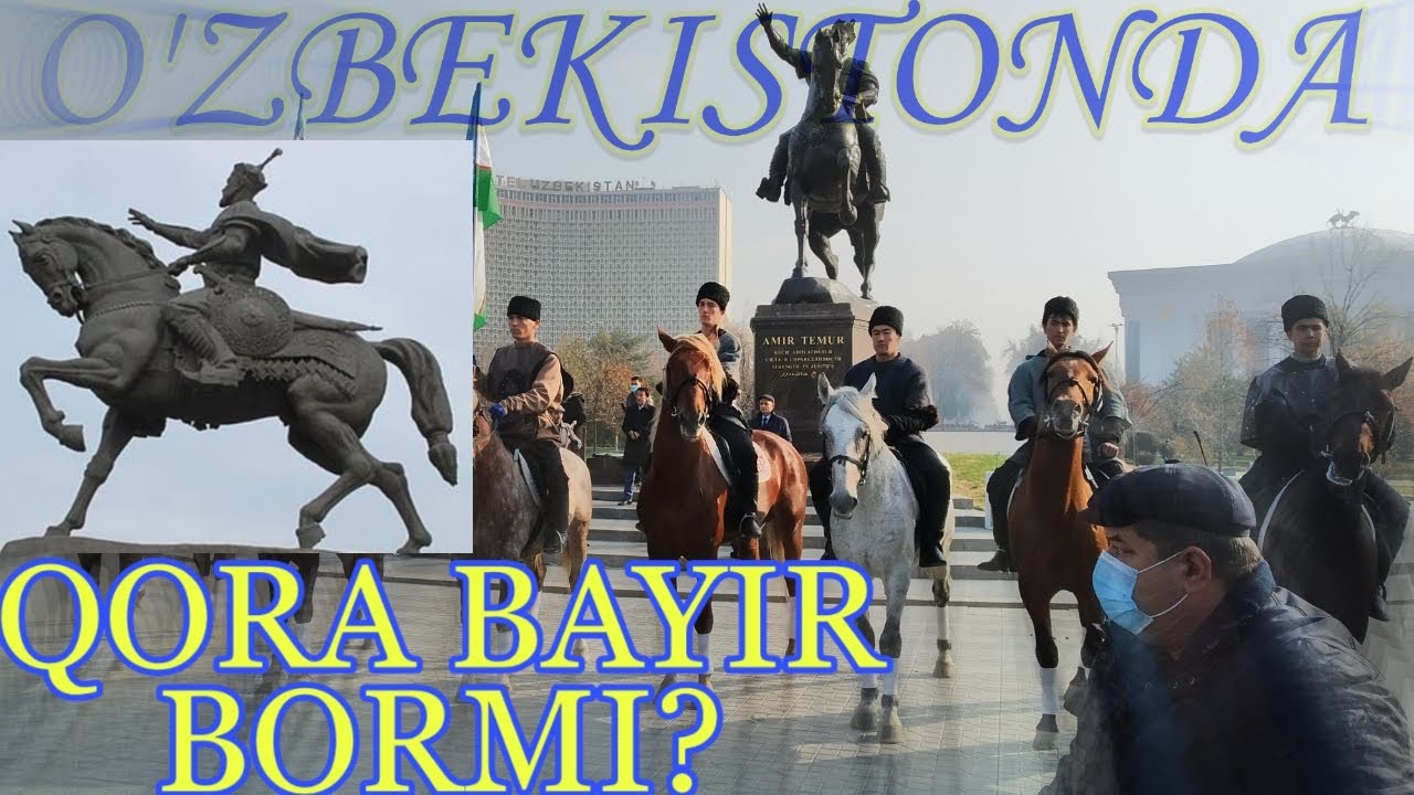 QORA BAYIR OTLARI BORMI? O'ZBEKISTANDA