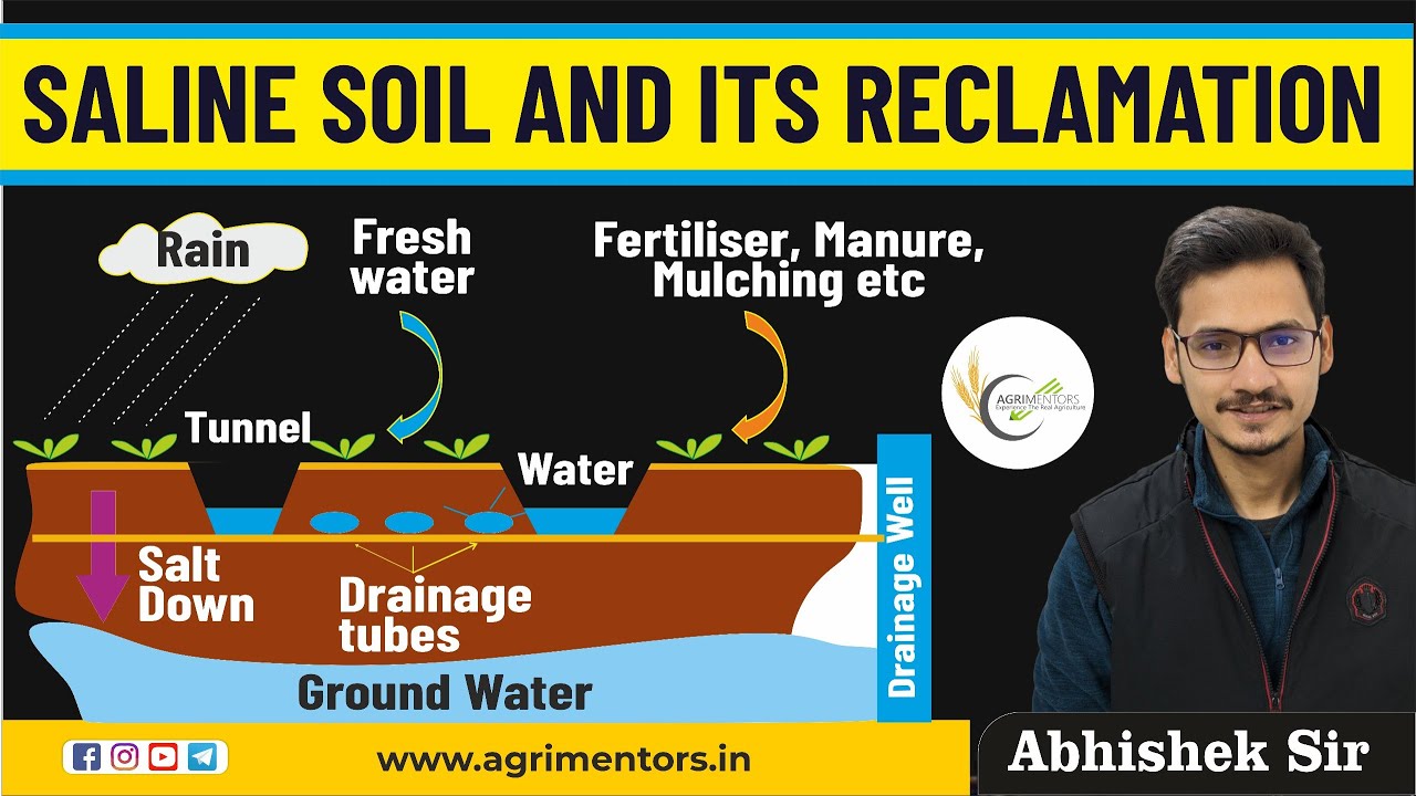 Saline Soil and its Reclamation | AFO | ADO | Other Competetive Exams |