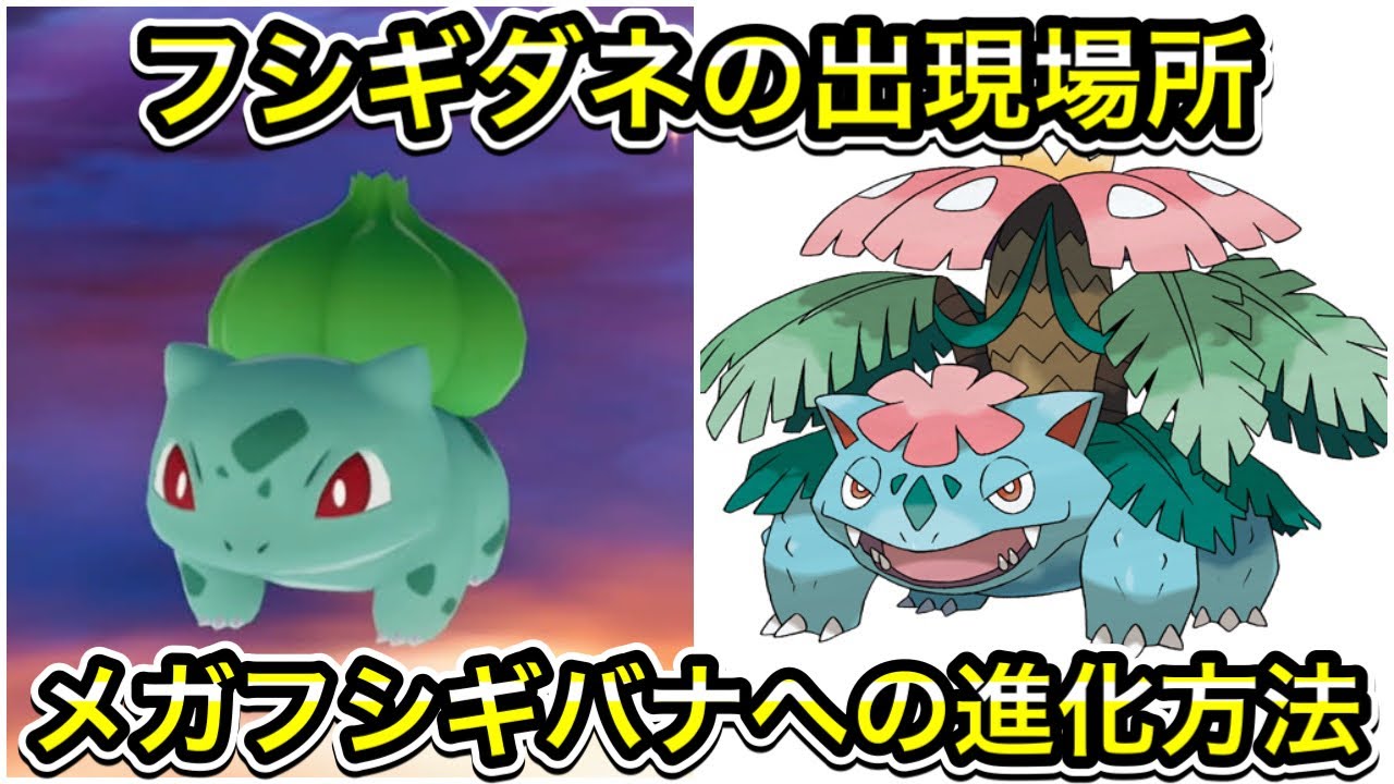 【レジェンズZA】フシギダネの出現場所！メガフシギバナへの進化方法を解説