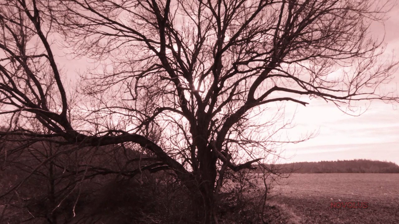 Lake of Tears - Raven Land ( Altmannstein Herbst 2016 )