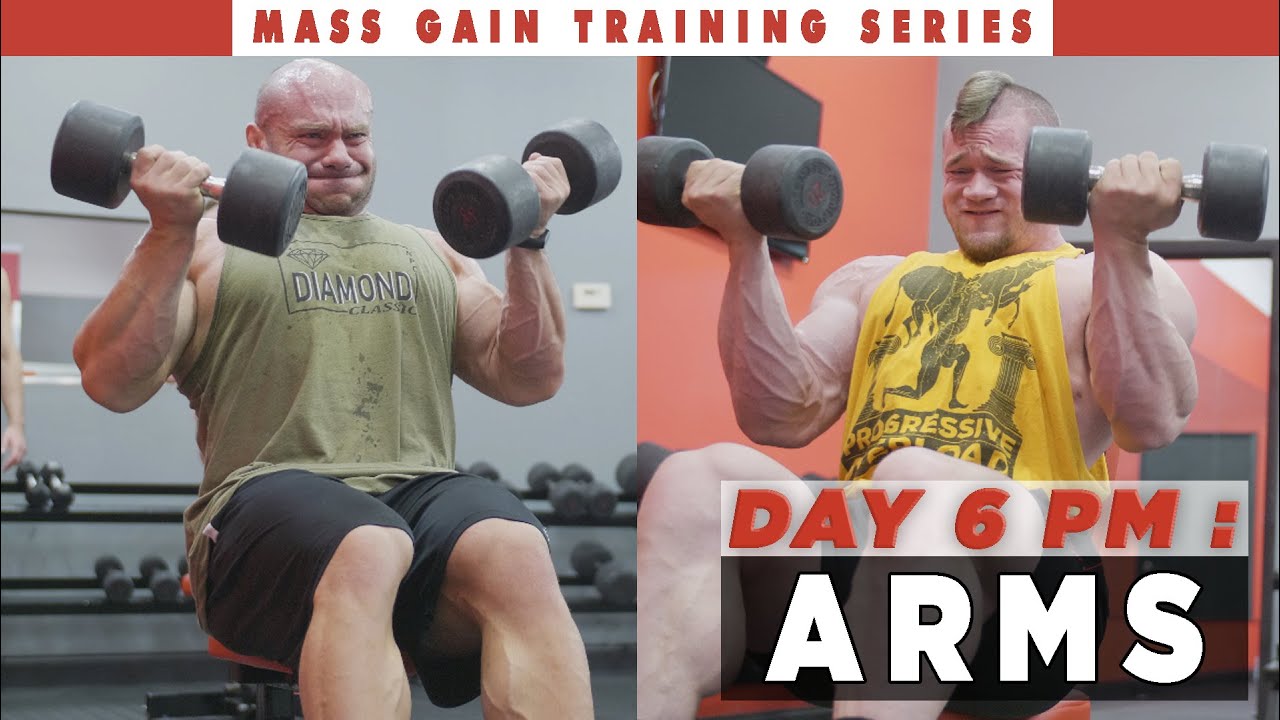 RP Mass Gain Training Series | Day 6 PM: Biceps, Delts, Forearms
