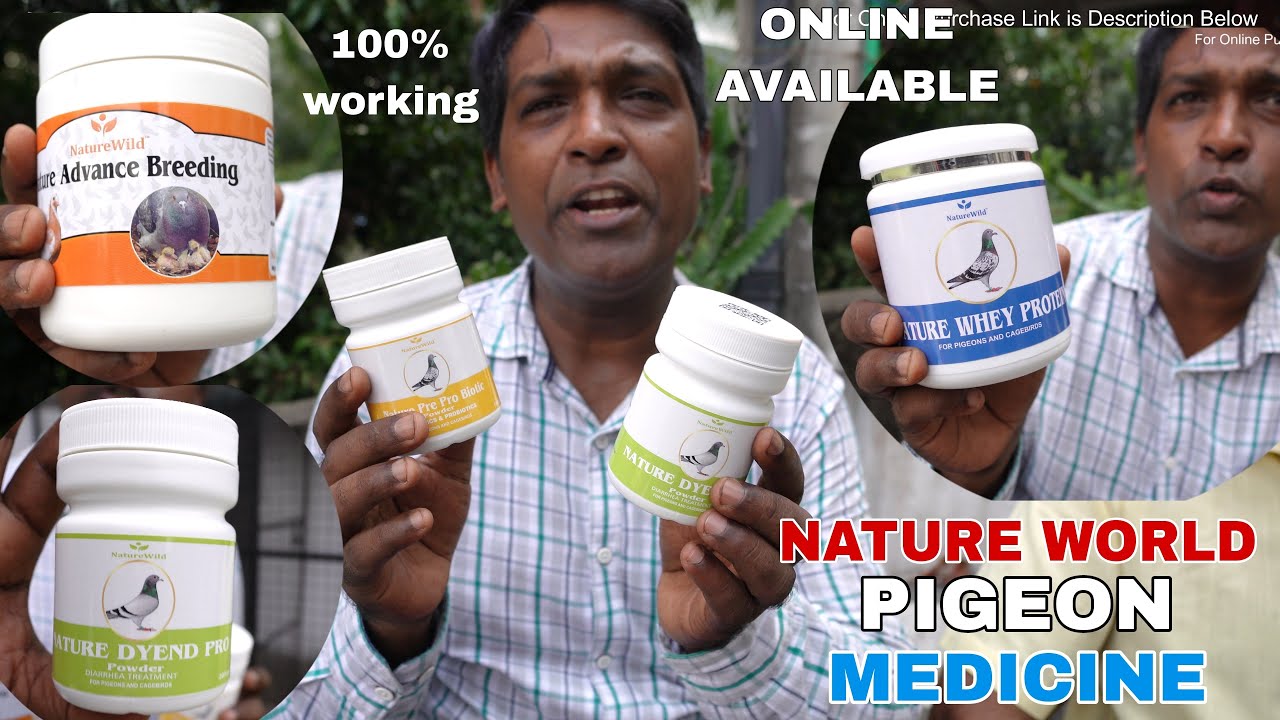 All Types High Quality  Pigeon Medicine Available at Online by Nature World - 8777516023