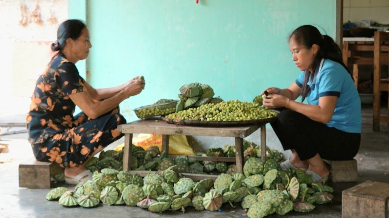 Harvesting lotus seeds, preparing food and selling at the market. Village life