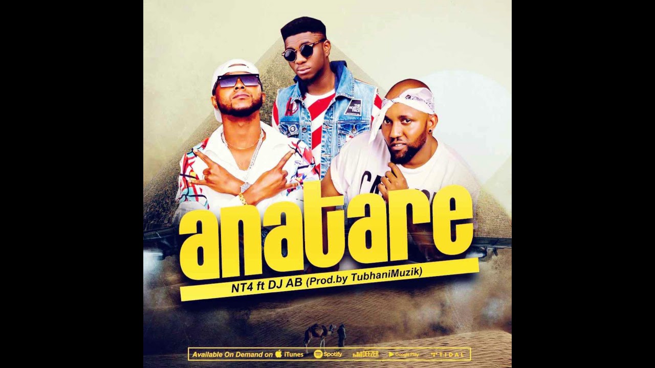 NT4 ft DJ AB - Anatare