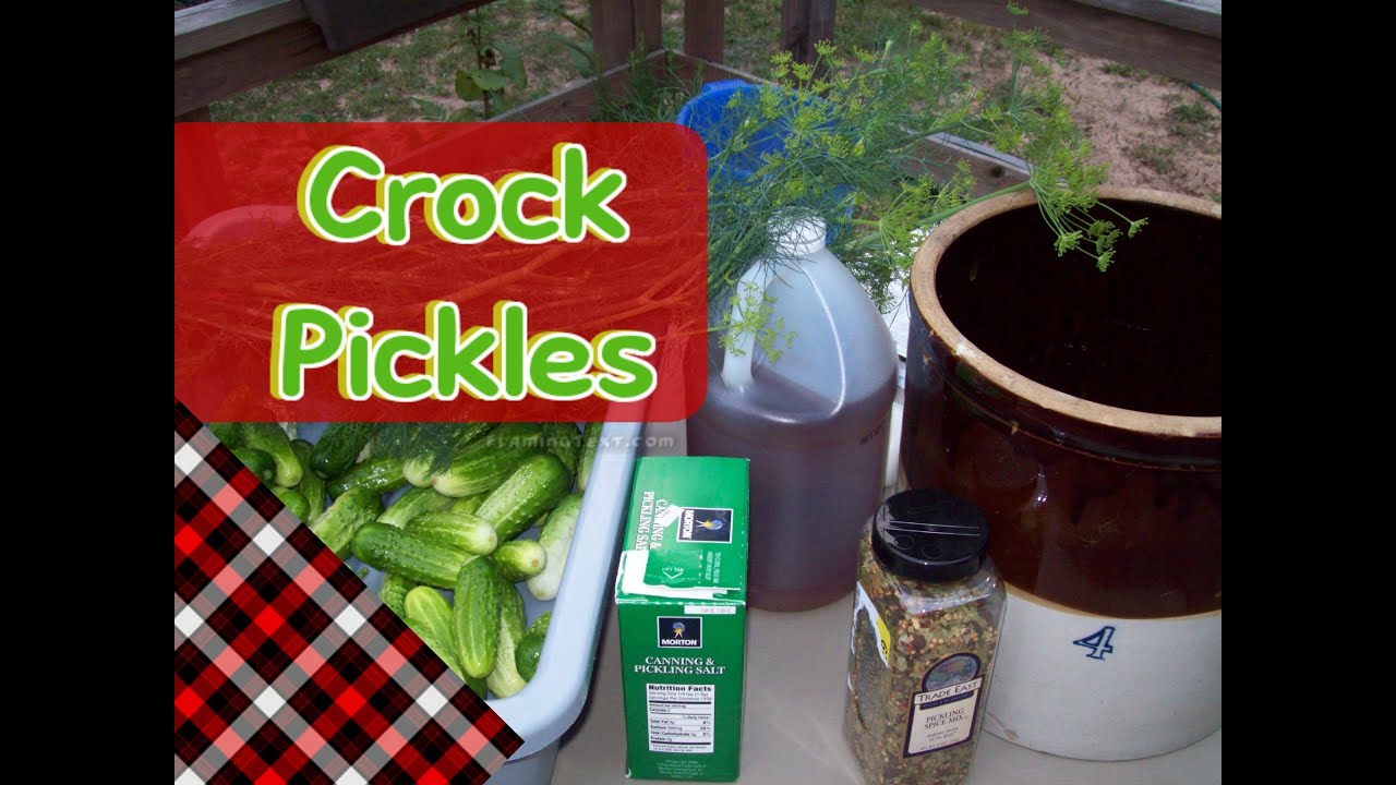Fermented Crock Pickles