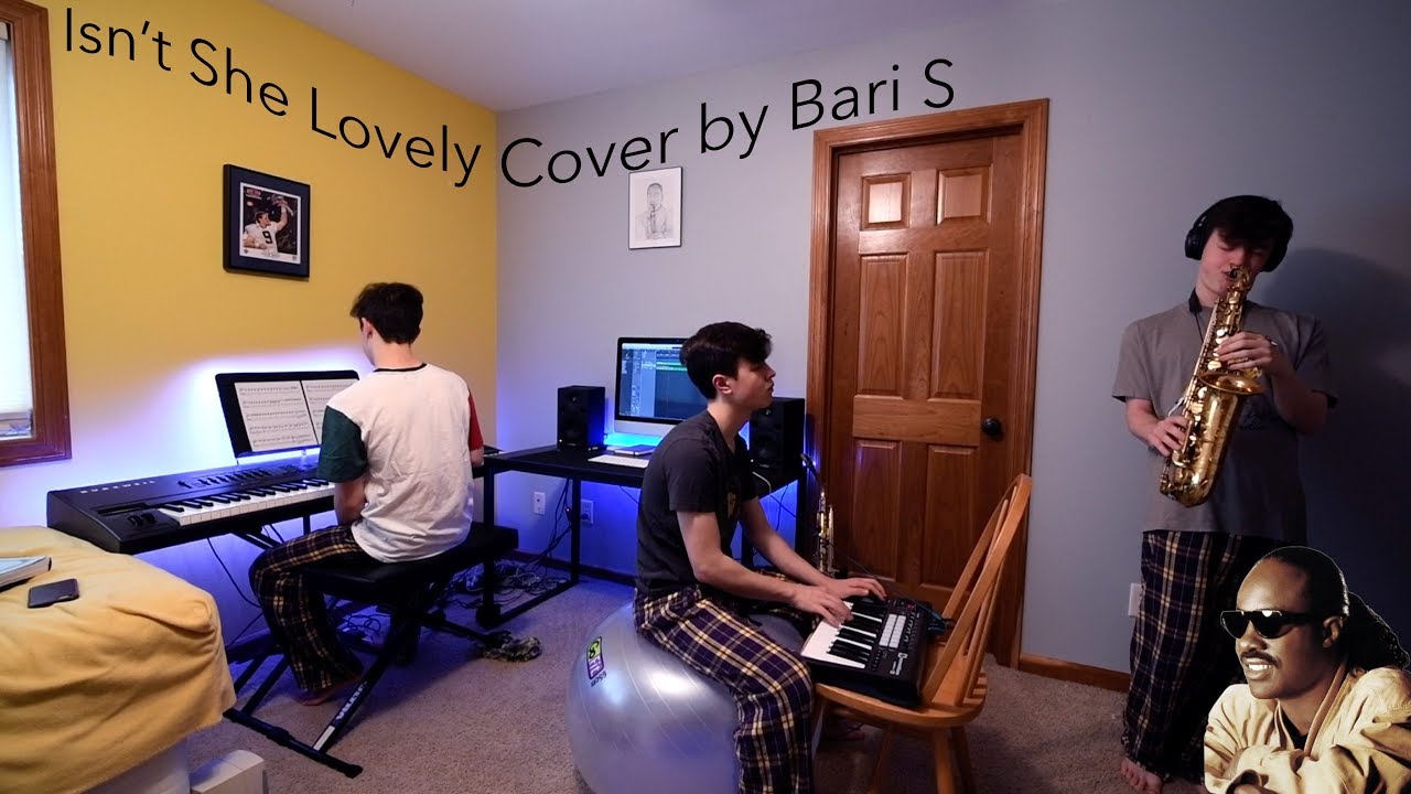 Isn't She Lovely Saxophone Cover