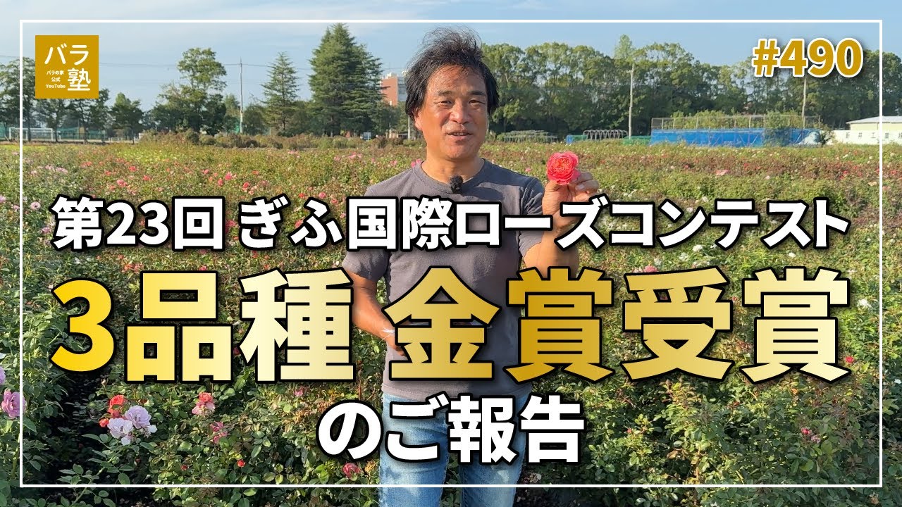 #490 第23回 ぎふ国際ローズコンテスト 3品種 金賞受賞のご報告
